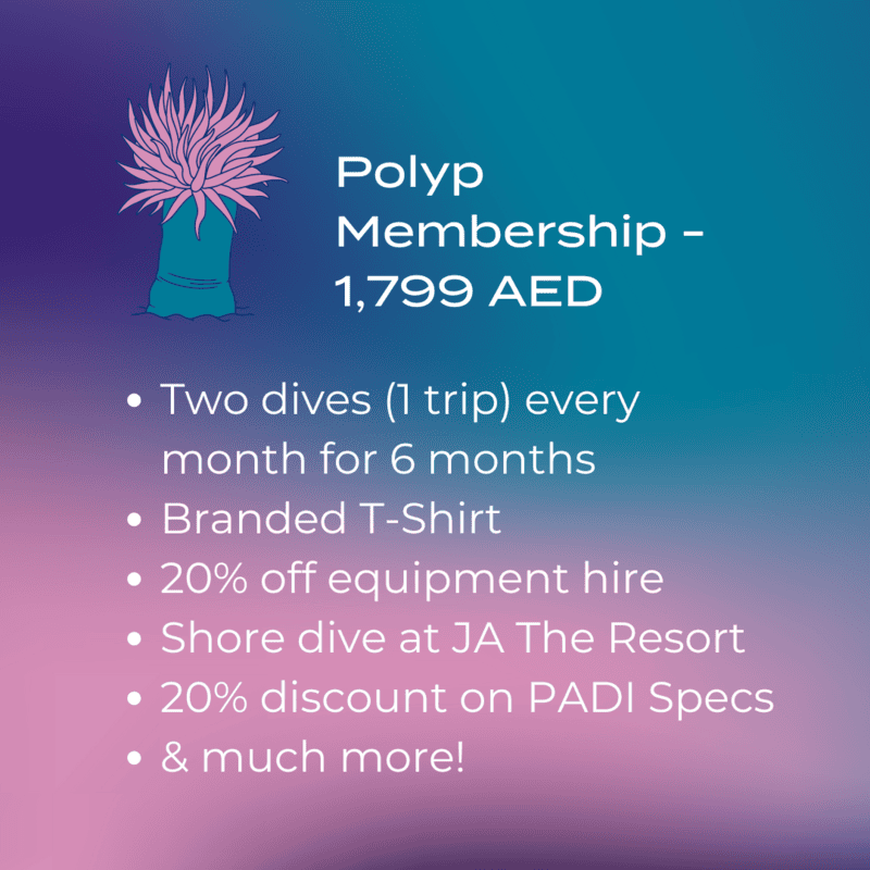 Coral Polyp Membership Tier Coral Polyp Membership Tier