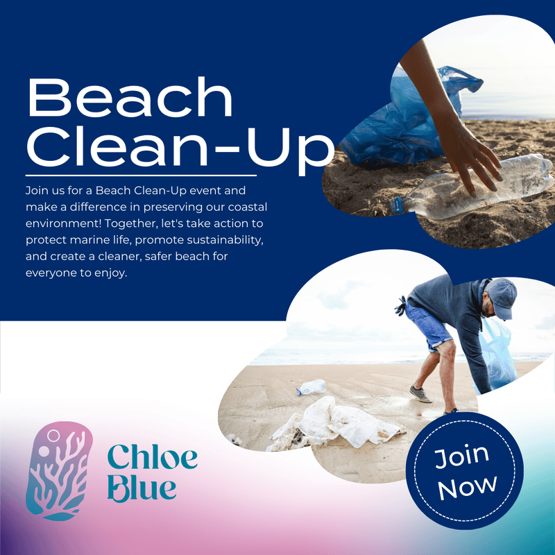 Marine Debris - Beach Clean Up