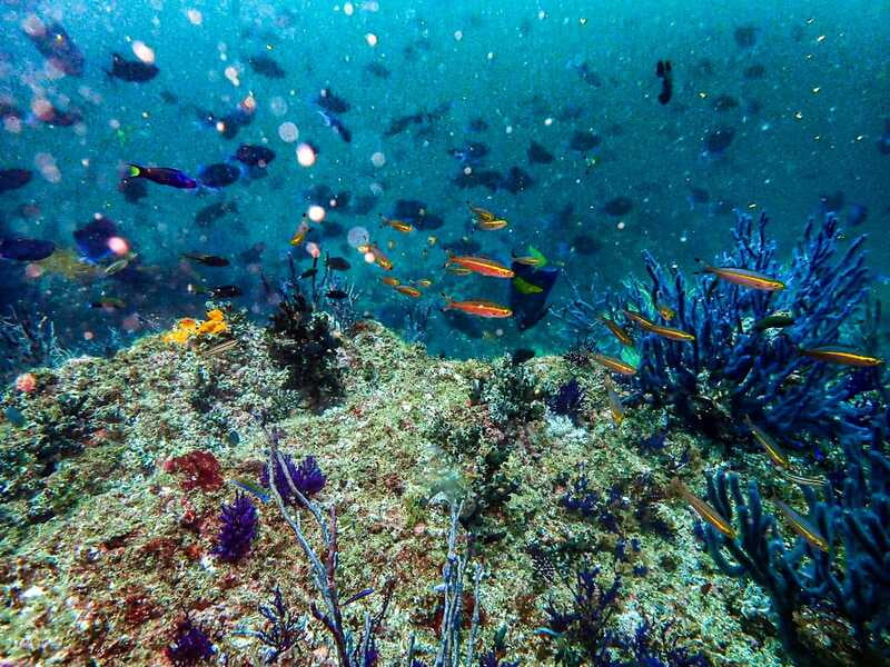 Musandam Overnight Trip (November 19th-20th, 2022) Musandam Overnight Trip (November 19th-20th, 2022)